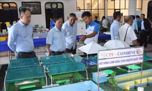 Xây dựng thương hiệu tôm Việt Nam