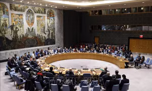 Hội đồng Bảo an thảo luận trực tuyến về vấn đề vũ khí hoá học tại Syria