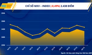 Giá khí tự nhiên lao dốc, cà phê Arabica bật tăng 4%
