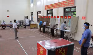 Bầu cử an toàn trong 'tâm dịch' Mão Điền