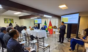 Việt Nam, Brazil tăng cường hợp tác trong lĩnh vực năng lượng tái tạo