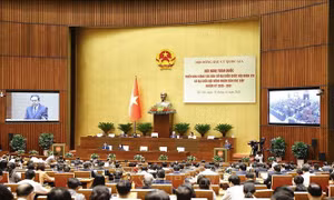 Quy trình các bước hiệp thương giới thiệu người ứng cử