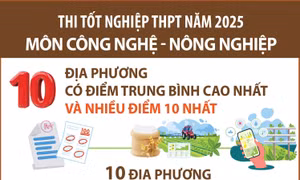 Thi tốt nghiệp THPT năm 2025 môn Công nghệ - Nông nghiệp: Các địa phương có điểm trung bình cao nhất và nhiều điểm 10 nhất