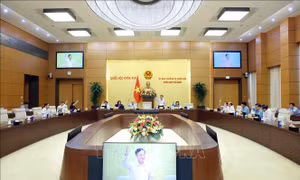 Phiên họp thứ Nhất, Ủy ban Thường vụ Quốc hội: Thông qua nguyên tắc thành lập thành phố Đồng Nai