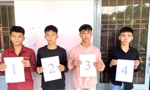 Đồng Nai: Khẩn trương điều tra vụ án giết người xảy ra ở huyện Xuân Lộc