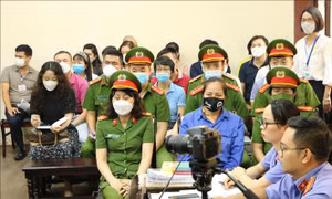 Thu tiền của phụ huynh trái quy định, Hiệu trưởng và thủ quỹ lĩnh án