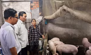 Nỗ lực giảm nghèo ở vùng dân tộc thiểu số biên giới biển Vĩnh Châu