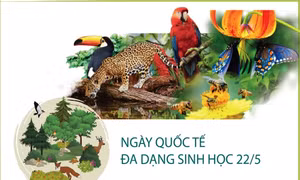 Thay đổi hành vi, thúc đẩy lối sống hài hòa với thiên nhiên