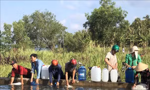 Chuyển hơn 3,6 triệu lít nước ngọt cho người dân vùng hạn mặn