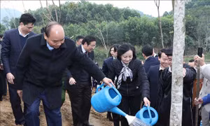 Thủ tướng Nguyễn Xuân Phúc phát động Tết trồng cây tại tỉnh Yên Bái