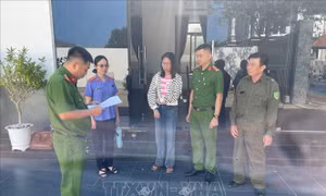 Bắt giam nữ nhân viên tham ô nhiều tỷ đồng