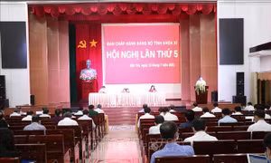 Bến Tre quyết liệt triển khai phong trào thi đua 'Đồng Khởi mới'