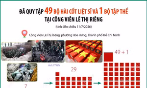 Đã quy tập 49 bộ hài cốt liệt sĩ và 1 bộ tập thể tại Công viên Lê Thị Riêng