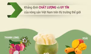 Hàn Quốc chính thức cấp phép nhập khẩu quả bưởi của Việt Nam
