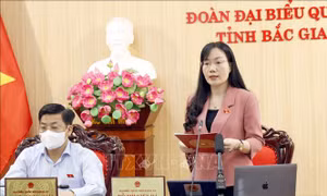 Việc ban hành Luật Cảnh sát Cơ động là cần thiết