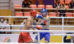 Hai vận động viên Kickboxing Việt Nam xuất sắc chiến thắng tuyệt đối trong trận Tứ kết