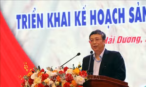 Sản xuất nông nghiệp các tỉnh phía Bắc đạt nhiều thắng lợi
