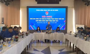 Đoàn Thanh niên Cụm đồng bằng sông Hồng thực hiện tốt chủ trương '3 liên kết'