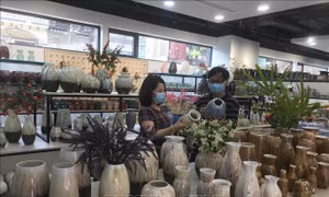 Hà Nội tạo sự bền vững cho du lịch cộng đồng