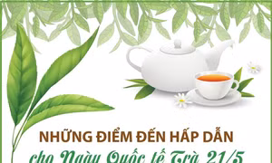 Những điểm đến hấp dẫn cho Ngày Quốc tế Trà 21/5