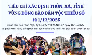 Tiêu chí xác định thôn, xã, tỉnh vùng đồng bào dân tộc thiểu số từ 1/12/2025