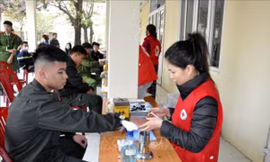Ngày Chủ nhật Đỏ ở Thanh Hóa thu nhận gần 300 đơn vị máu 