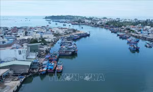 Dự kiến trong tháng 9 nạo vét xong luồng Hàng hải Sa Kỳ