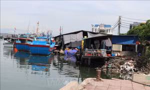 Cần xử lý dứt điểm tình trạng lấn chiếm mặt nước cảng Sa Kỳ