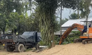 Quảng Ngãi: Chỉ đạo làm rõ việc khai thác cát trái phép tại huyện Ba Tơ