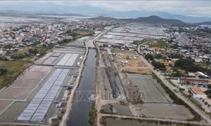 Tiếp diễn câu chuyện 'được mùa mất giá' muối