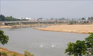 Quảng Ngãi đối mặt nguy cơ hạn hán do dòng chảy suy giảm