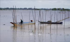 Người dân vùng đầu nguồn mưu sinh trong mùa lũ