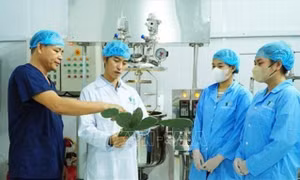 Thanh niên Phú Yên khởi nghiệp từ cây xương rồng