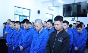 'Lá chắn' trợ giúp pháp lý cho thanh, thiếu niên từ cơ sở