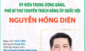 Ủy viên Trung ương Đảng, Phó Bí thư chuyên trách Đảng ủy Quốc hội Nguyễn Hồng Diên