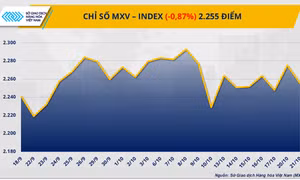 Giá bạc lao dốc, cà-phê đi ngược dòng: MXV-Index giảm hơn 20 điểm