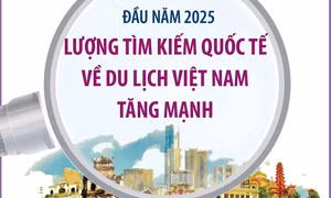 Lượng tìm kiếm quốc tế về du lịch Việt Nam tăng mạnh