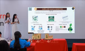 Khơi nguồn sáng kiến xanh từ học sinh Đà Nẵng