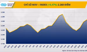 Lực mua áp đảo, MXV-Index xanh phiên thứ ba liên tiếp