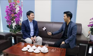 Hải Phòng đề xuất đóng góp gần 11.000 tỷ đồng thực hiện Đường sắt Lào Cai - Hà Nội - Hải Phòng