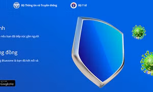 Triển khai rộng ứng dụng Bluezone trong phòng, chống dịch COVID-19