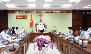 Đắk Lắk: Chủ động phương án tiếp nhận công dân trở về quê
