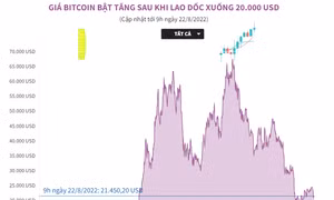 Giá tiền số Bitcoin bật tăng sau khi lao dốc xuống 20.000 USD
