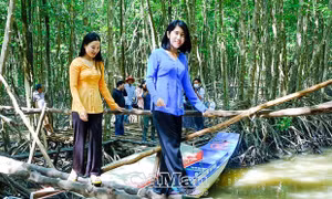 Bảo tồn, phát triển bền vững Khu Dự trữ sinh quyển thế giới Mũi Cà Mau