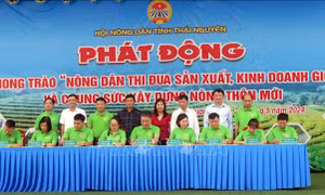 Thái Nguyên: Khuyến khích nông dân phát triển mô hình sản xuất nông nghiệp mới