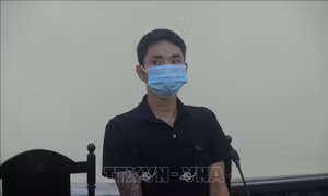 Phạt tù đối tượng chống người thi hành công vụ tại chốt kiểm dịch 