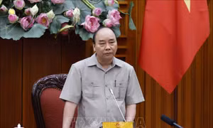 Thủ tướng chủ trì họp về số liệu thống kê và tình hình kinh tế - xã hội 