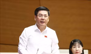 Bộ trưởng Công Thương Nguyễn Hồng Diên nói về tình trạng thiếu xăng dầu cục bộ
