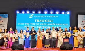 Gia Lai: Kết nối, giới thiệu các mô hình sinh kế cho phụ nữ