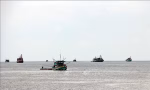 Vì sao nhiều tàu cá ở Cà Mau bị liệt kê vào danh sách 'tàu mất tích'?